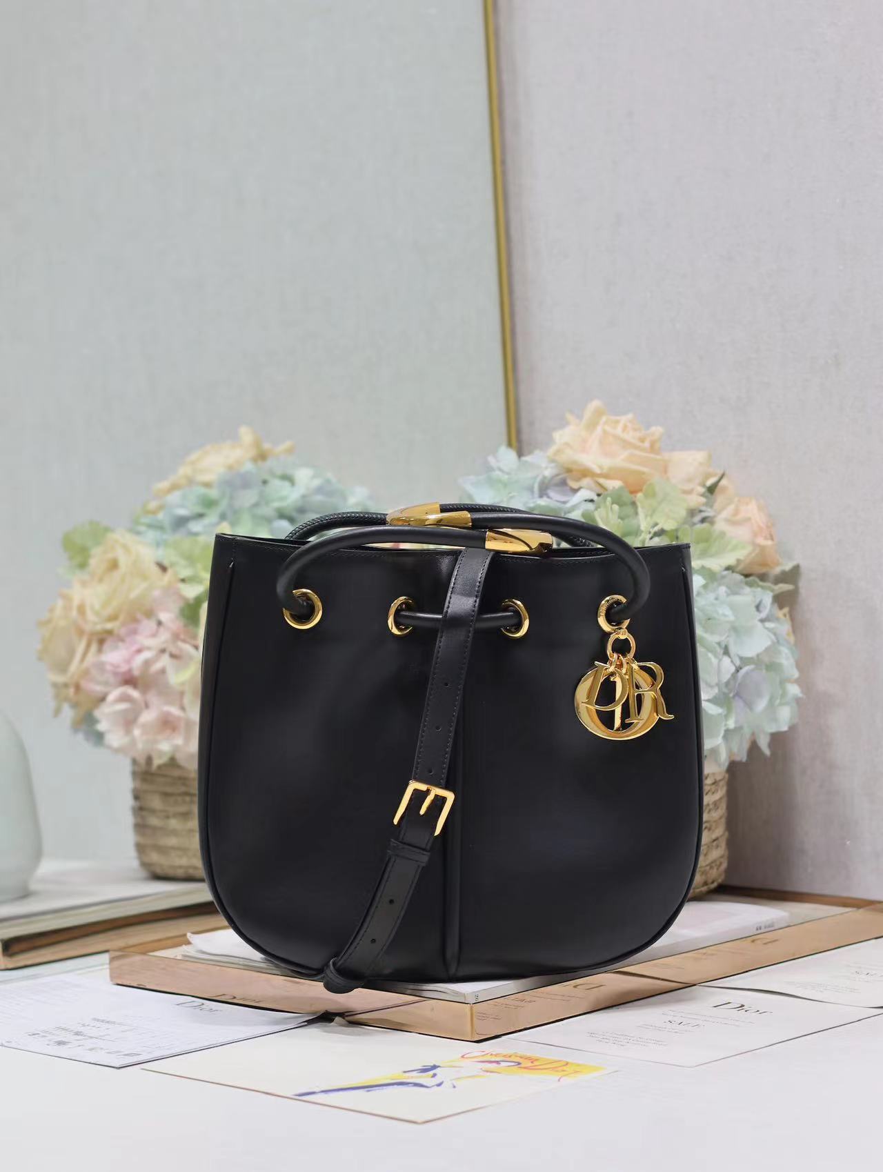 Christian Dior Medium Dior Nolita Bag