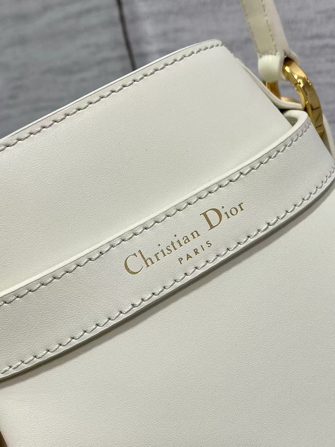 Christian Dior Medium Cest Dior Bag