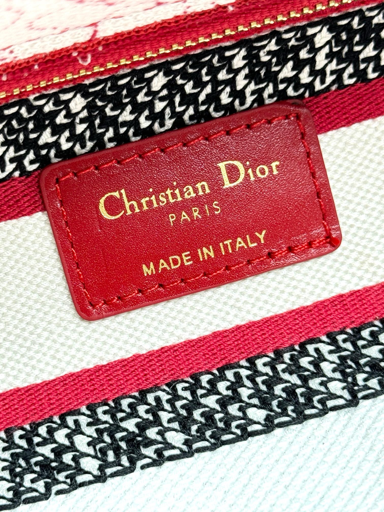 Christian Dior Medium Lady Dior Bag