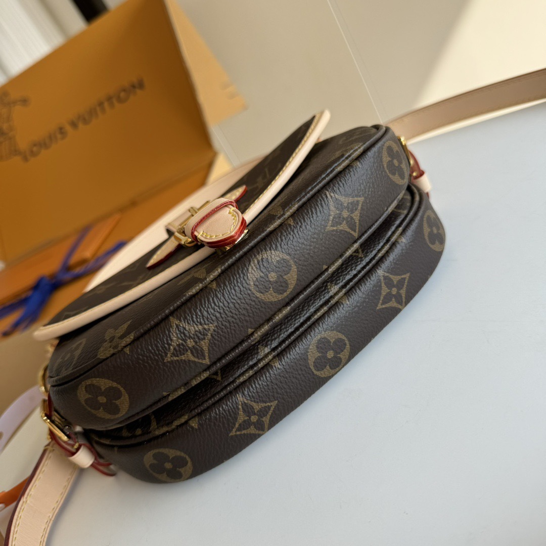 LV Saumur BB