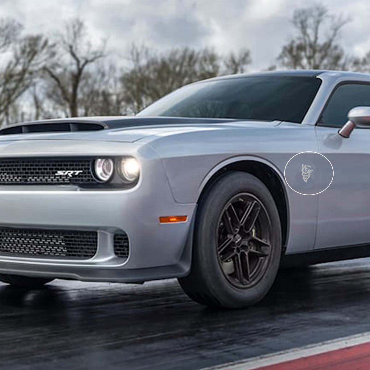 2Pcs SRT Charger Challenger Durango Hellcat Metal Chrome Dodge Side Fender Devil Cat Badge