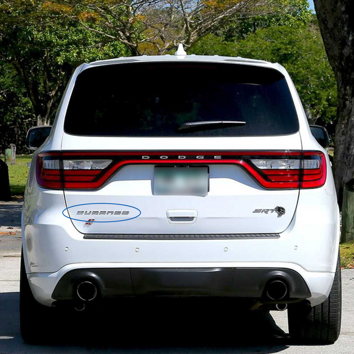 2011-2024 Durango ABS Tailgate Letter Gloss Chrome Dodge 55079299AC Decal Nameplate