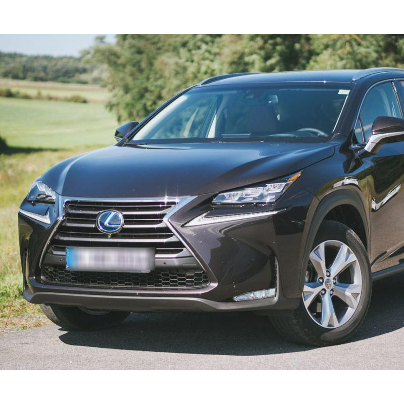 1PC 2013-2018 IS250 IS350 GS350 RX350 ES350 RX450h ABS 3D Raised Front Grille Emblem Gloss Blue Silver Lexus