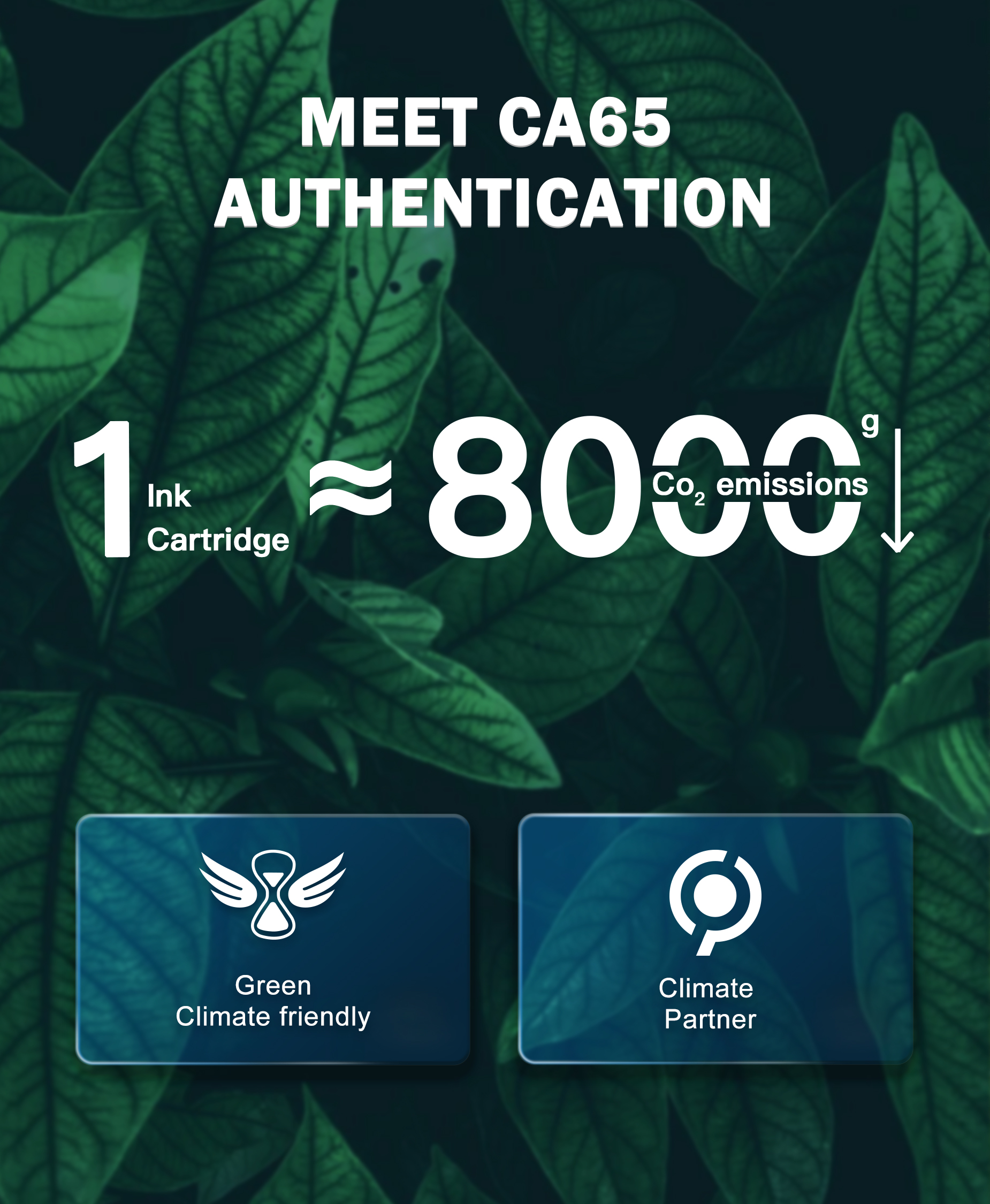 HALLOLUX Compatible pour 604 XL Cartouches d'encre Compatible pour 604XL pour Epson XP-2200 XP-2205 XP-4200 XP-4205 XP-3200 XP-3205 Workforce WF-2930 WF-2910 WF-2950 (10 Pack)