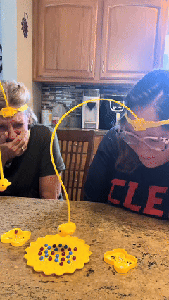 🔥Hot Sale🔥Magnetic Bee Toy, Fun Family Games for Kids and Adults