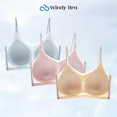 WindyBra - Summer seamless ultra-thin plus size ice silk comfort bra