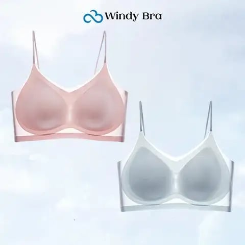 WindyBra - Summer seamless ultra-thin plus size ice silk comfort bra