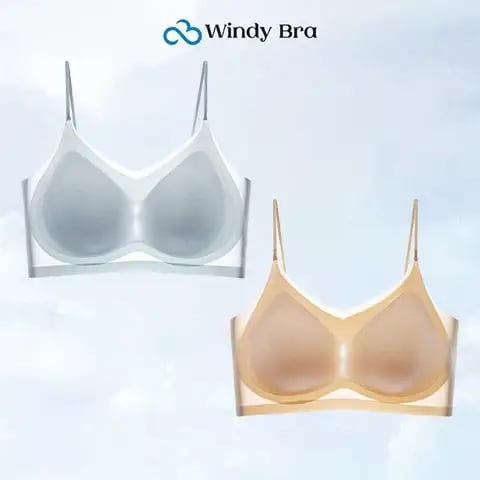 WindyBra - Summer seamless ultra-thin plus size ice silk comfort bra