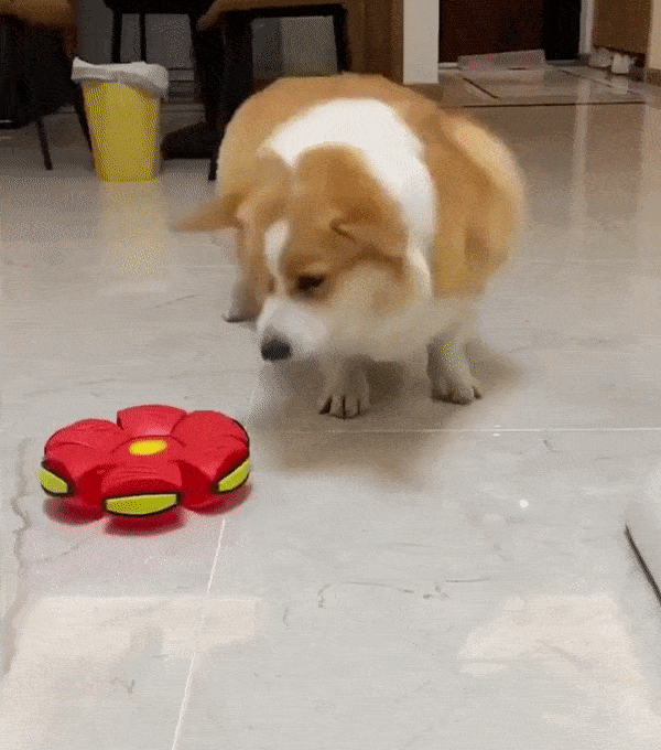 The Flying Saucer Ball Pro