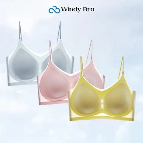 WindyBra - Summer seamless ultra-thin plus size ice silk comfort bra
