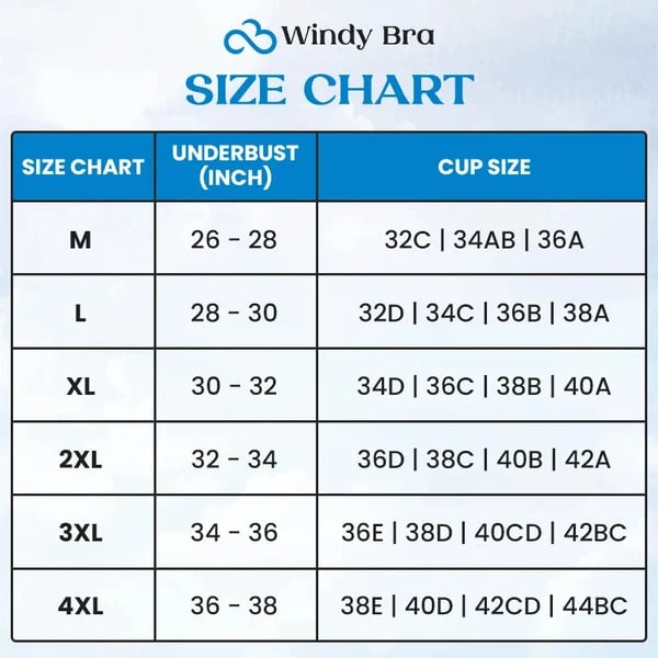 WindyBra - Summer seamless ultra-thin plus size ice silk comfort bra