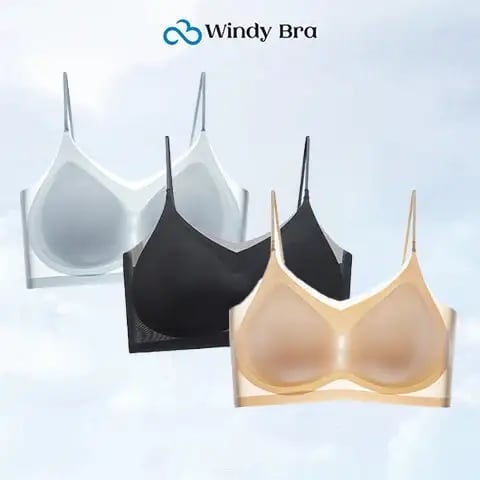 WindyBra - Summer seamless ultra-thin plus size ice silk comfort bra