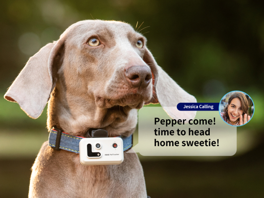 Rola pettracker 2-way communication-1