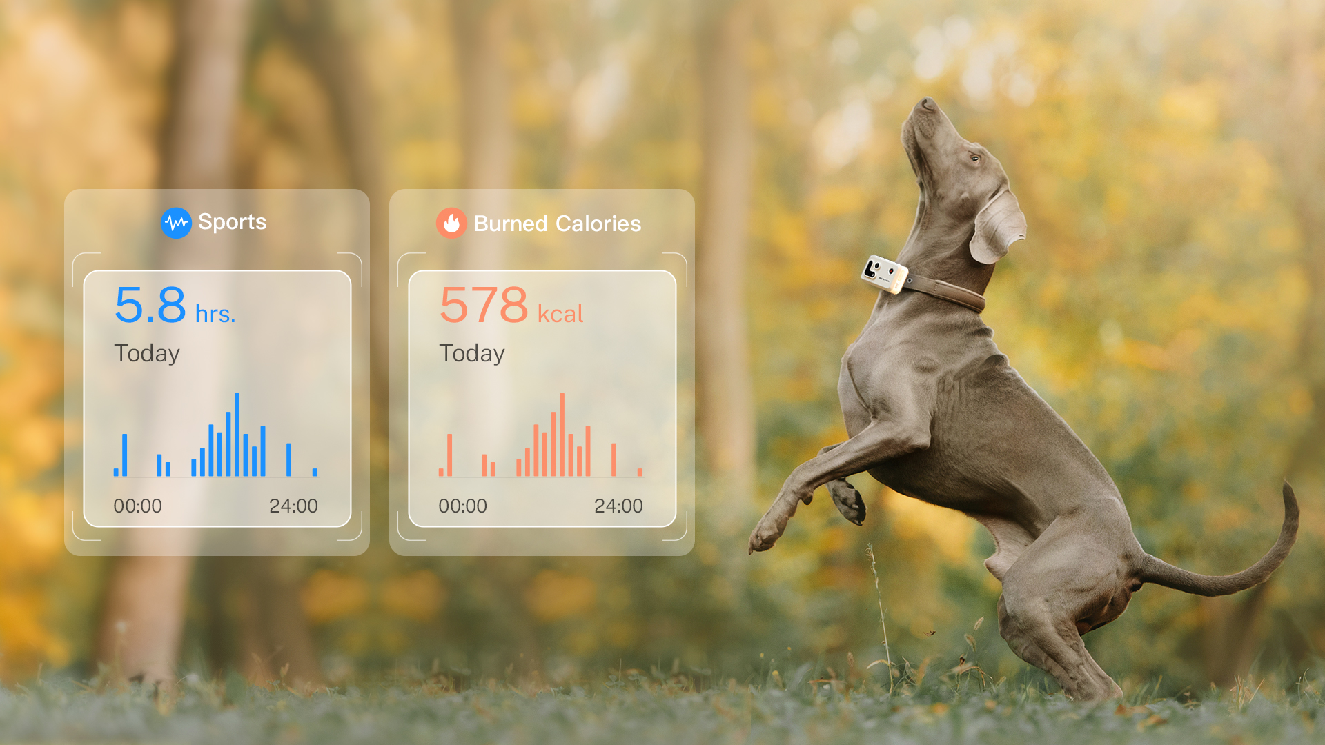 ROLA Pettracker Keep track of your pet’s overall health