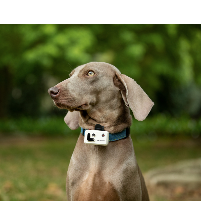 ROLA Pettracker FAQ