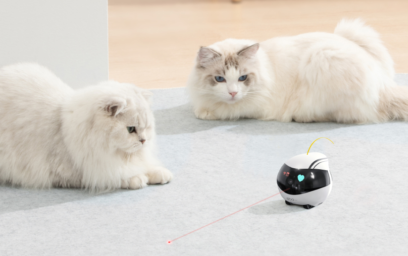 EBO Air can also play as an automatic cat leaser troy