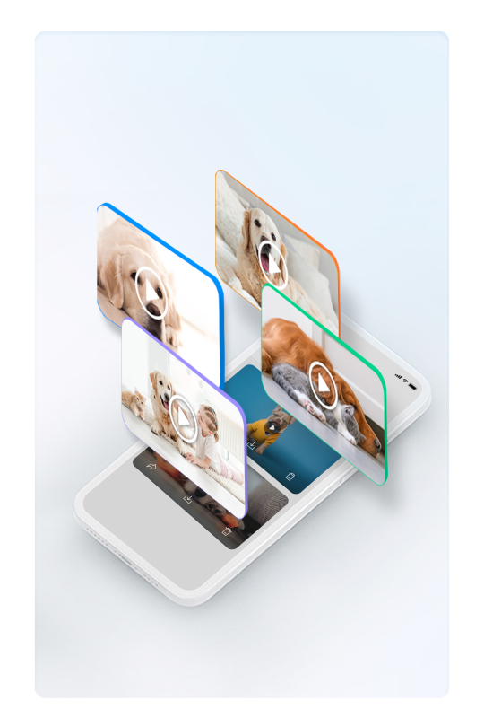 rola petpal app daily pet moments