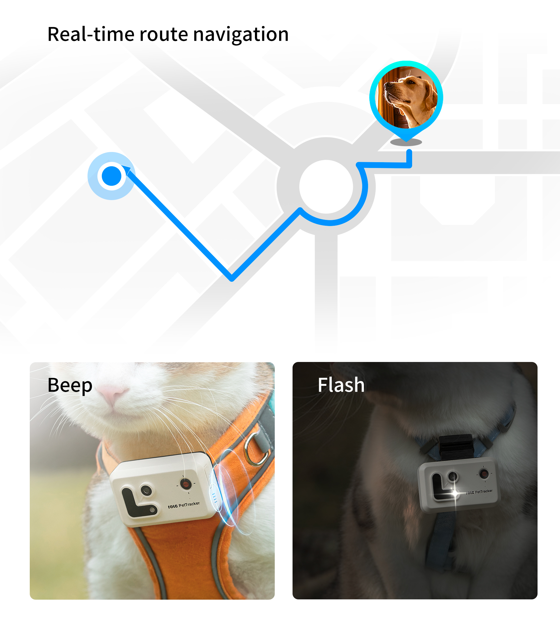 ROLA Pettracker Find your pets with a single click