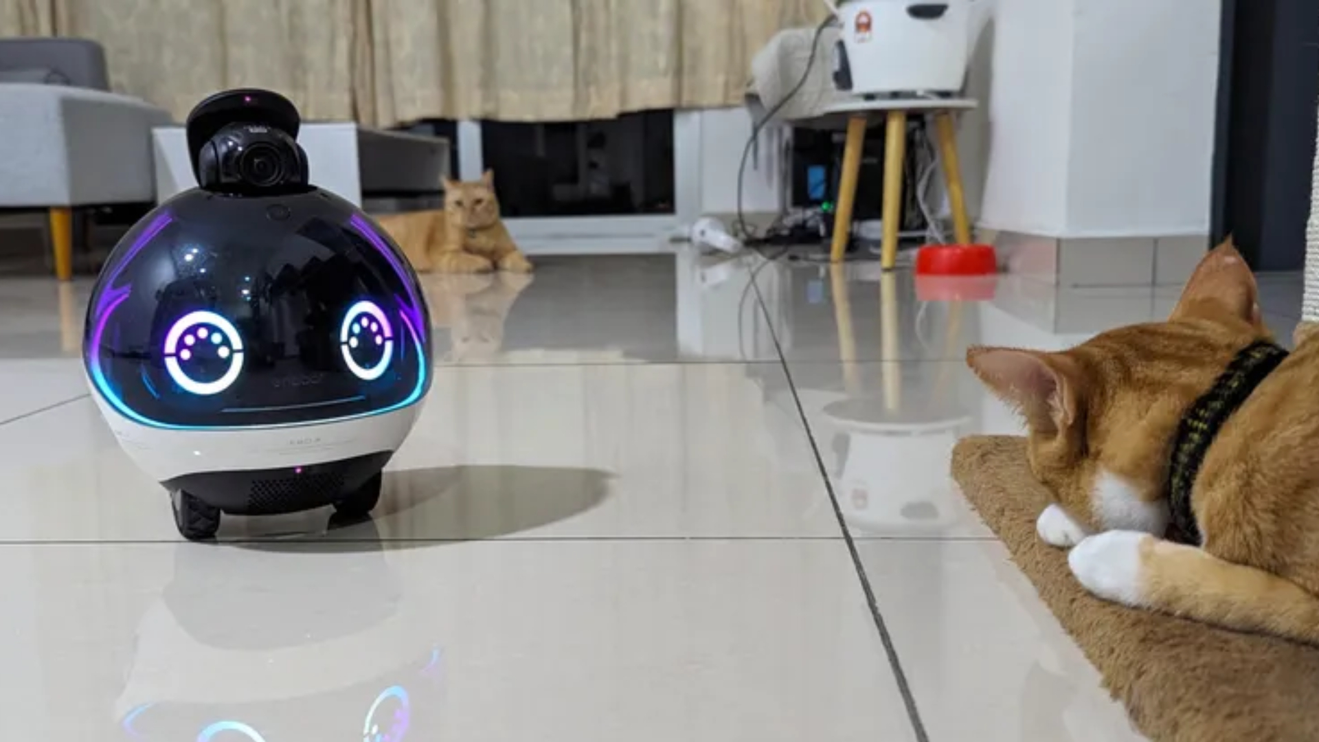Enabot EBO X Family Robot Companion with 4K Stabilized Camera, Alexa Support