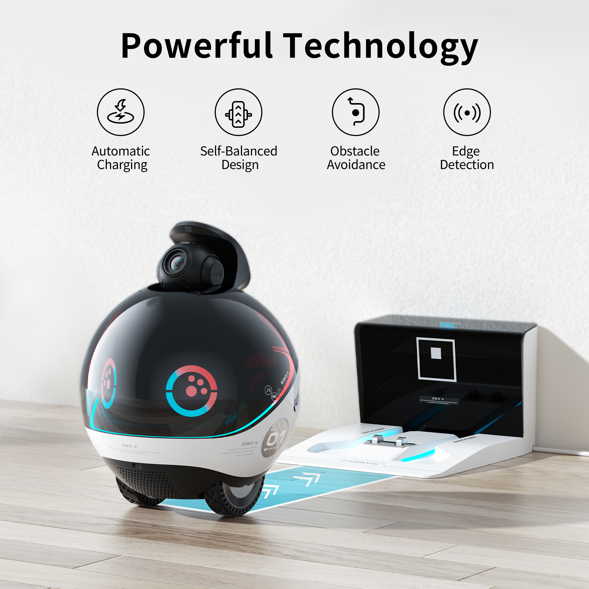 Enabot EBO X Family Robot Companion: Your Smart Guardian by ebo » Please  Fill the Survey ASAP! — Kickstarter