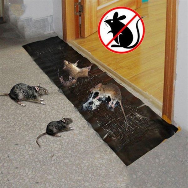 Large Area Pests and Rats Sticky Board