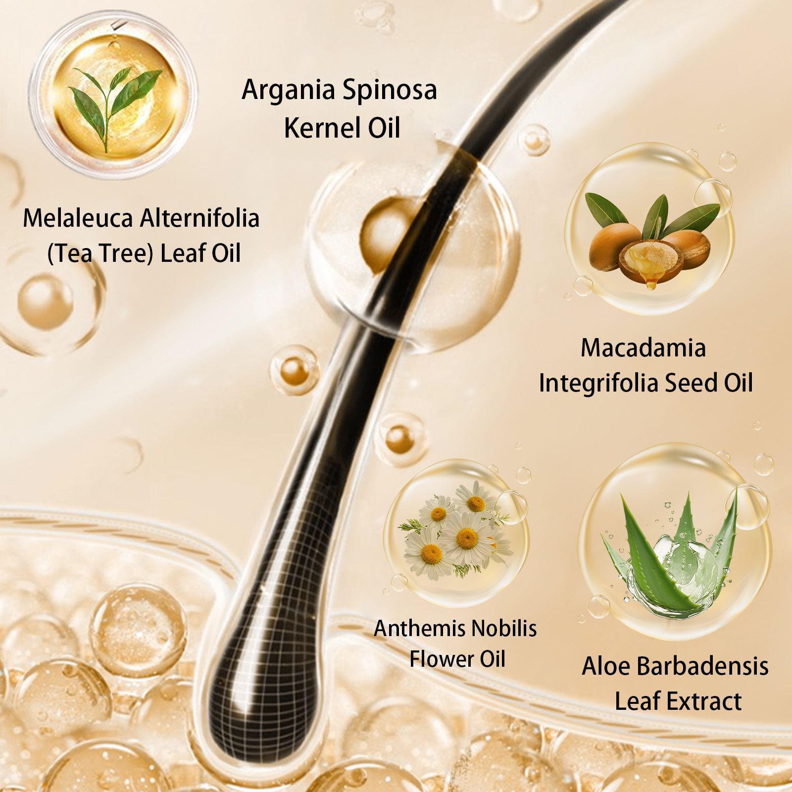 Karseell Extra Conditioner Enriched with Argan Oil Extra Smooth