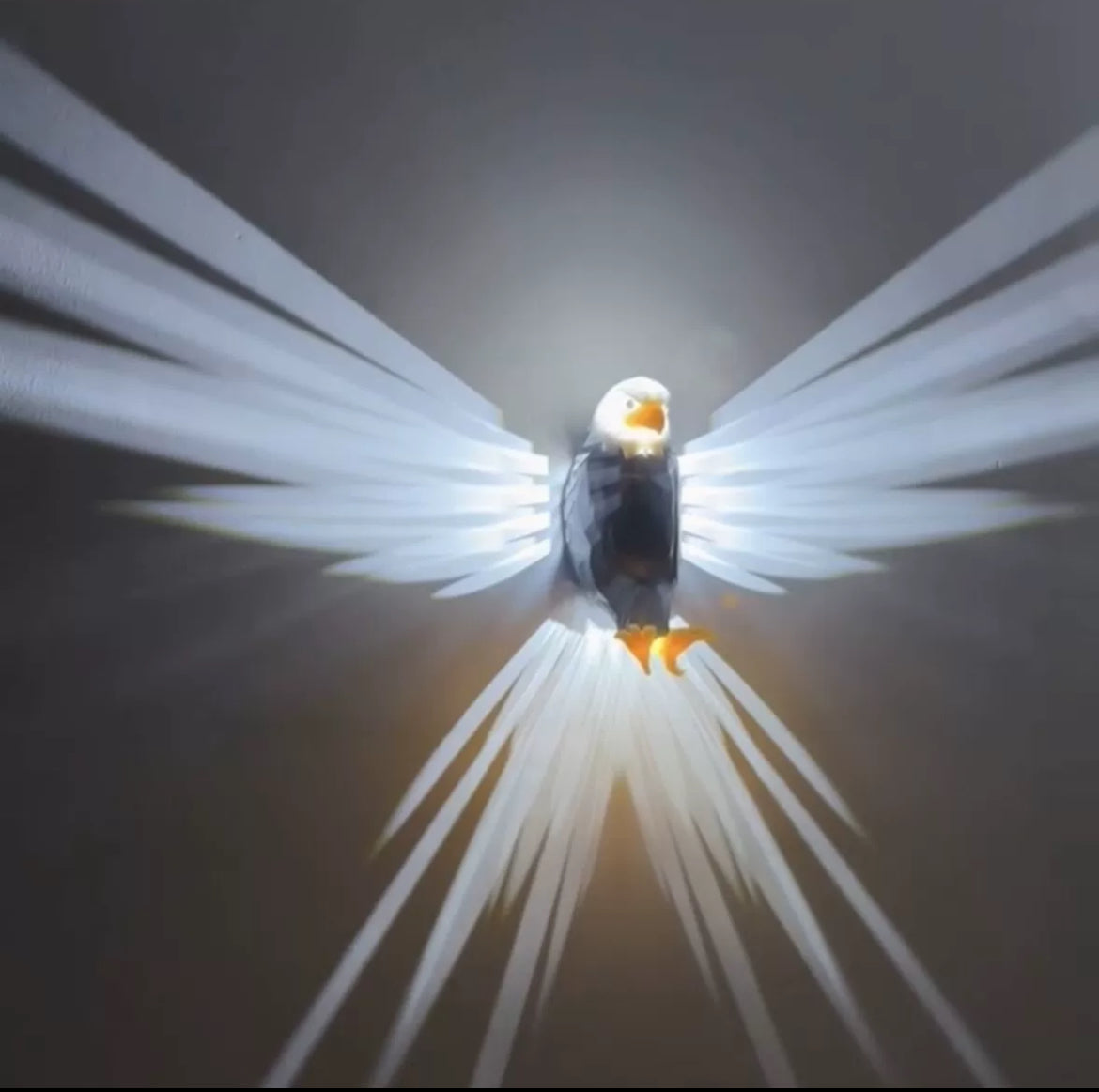 3D Animals LED Wall Lamp - Sea eagle and night owl