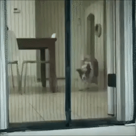 🔥Magnetic Screen Door