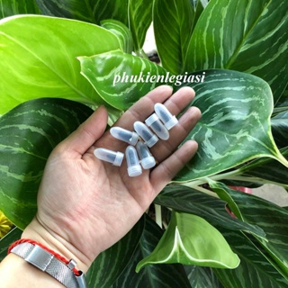 Silicone coated tire repair screws, car and motorcycle tire repair screws(100pcs)