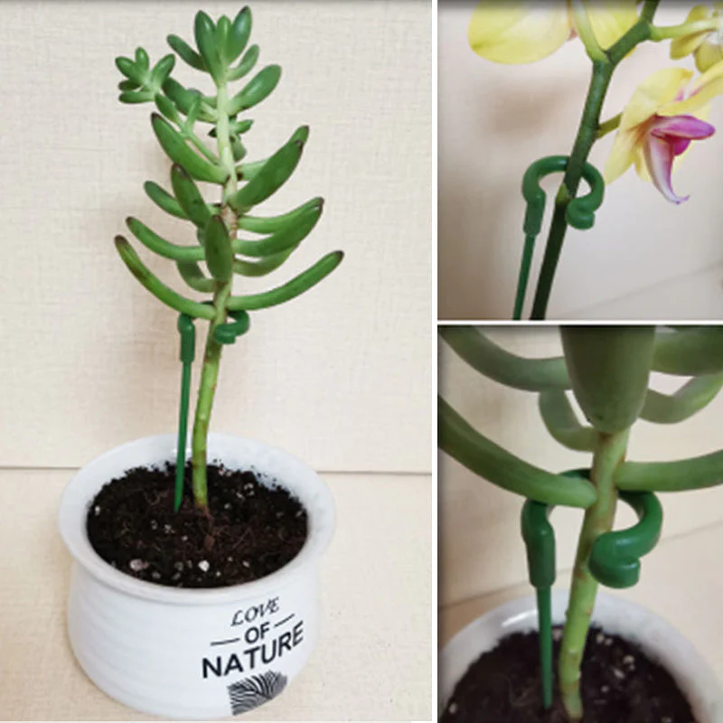 Single Plant Stem(10PCS)