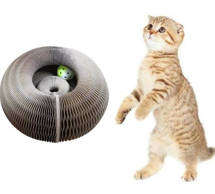 Magic Organ cat scratch board with bell