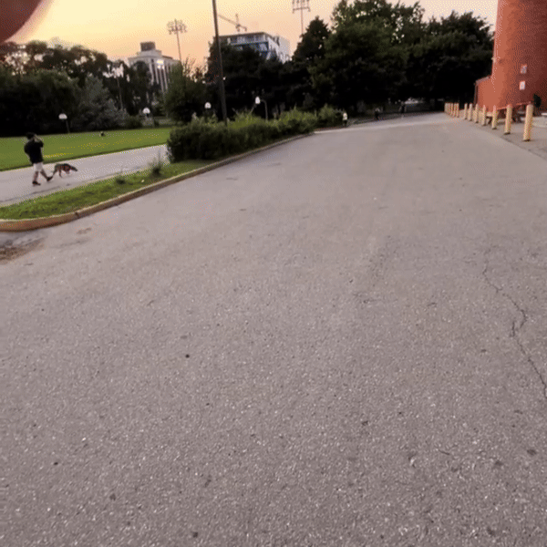 QuickServe Tennis Trainer™