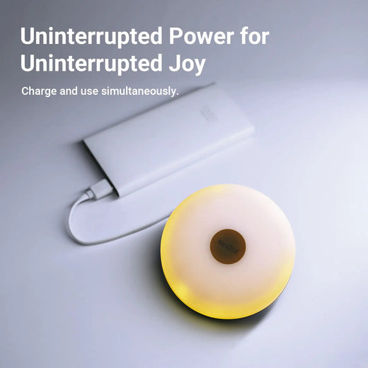 2-in-1 Galaxy Outdoor Light Strip & Camping Lantern Light