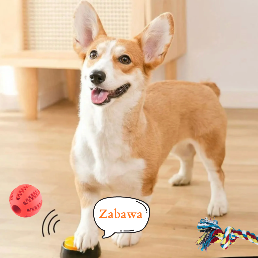 Pet Communication Button-Recordable