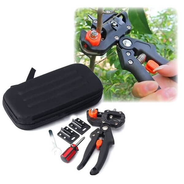 FOARFECĂ DE GRĂDINĂ