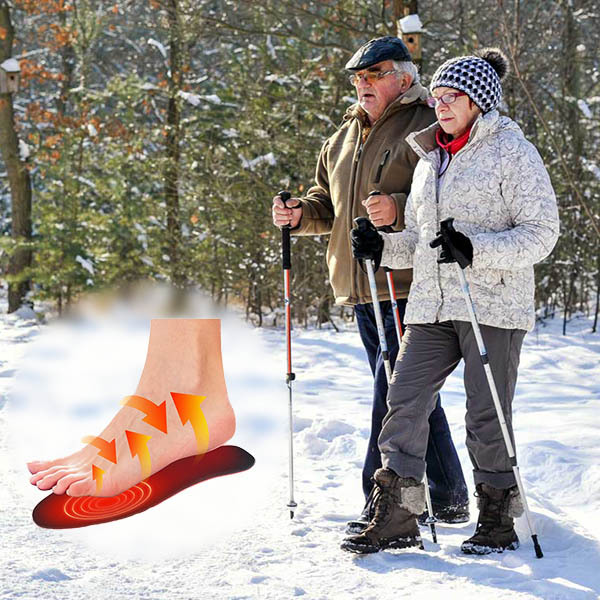 Electric heated shoe soles 