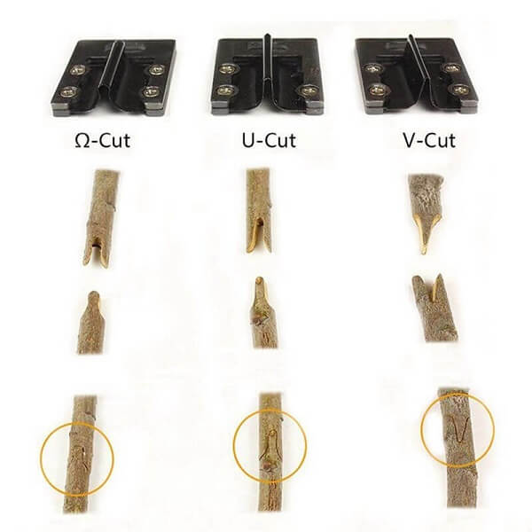 FOARFECĂ DE GRĂDINĂ