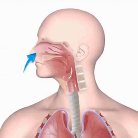Breathing apparatus for children and adults Breathing apparatus for children and adults