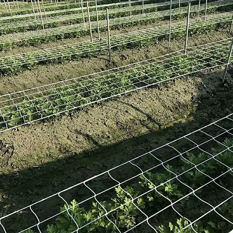 Garden Plant Climbing Net, DIY Plant Stand (1.67x5m)