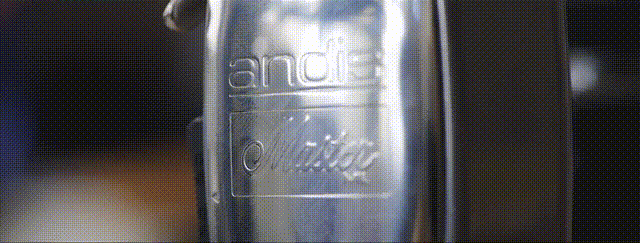 1700042238238085.gif logo.gif