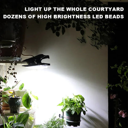 IlluminateSolarM- The Ultimate Solar Powered LED Light