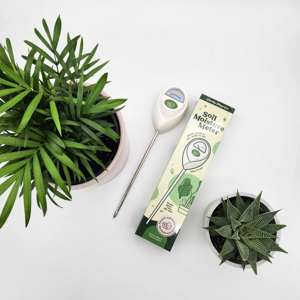 Soil Moisture Meter - Cheeky Plant Co.
