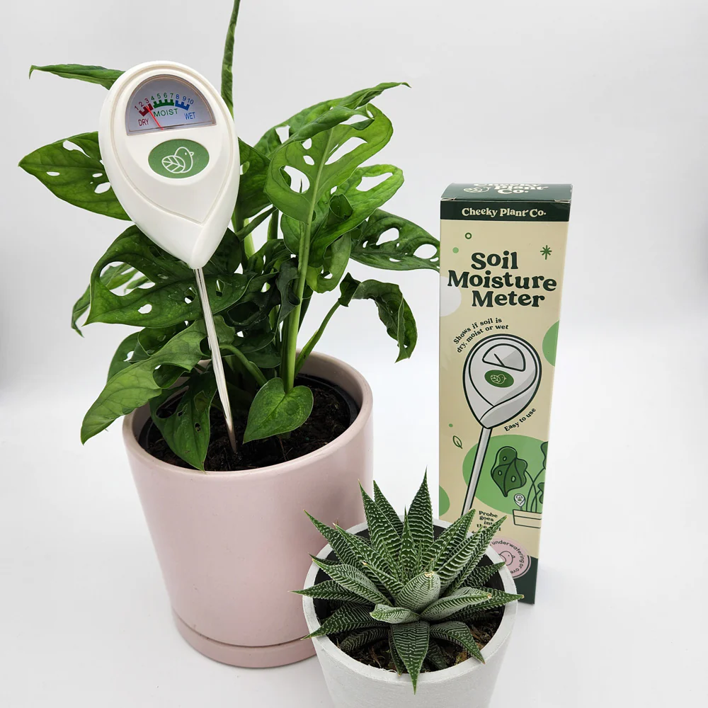Soil Moisture Meter - Cheeky Plant Co.