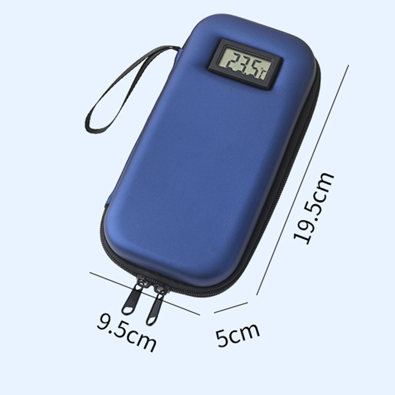Insulin cooler bag with temperature display for travel
