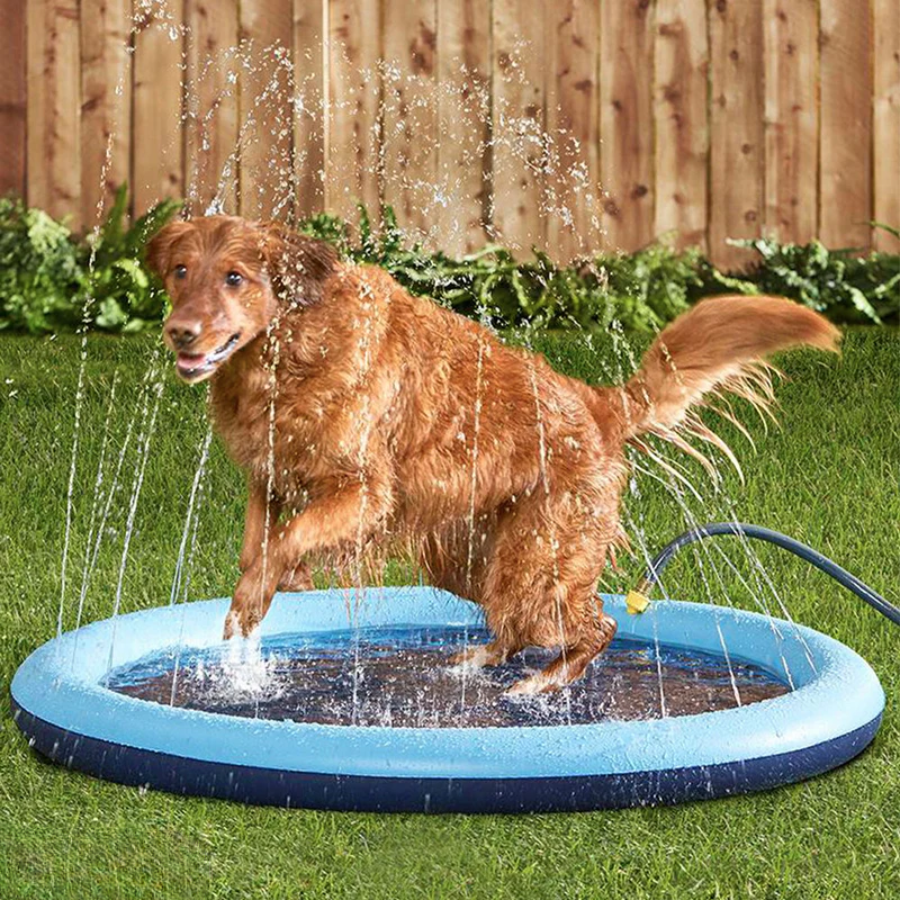 Sprinklerbassin til hunde