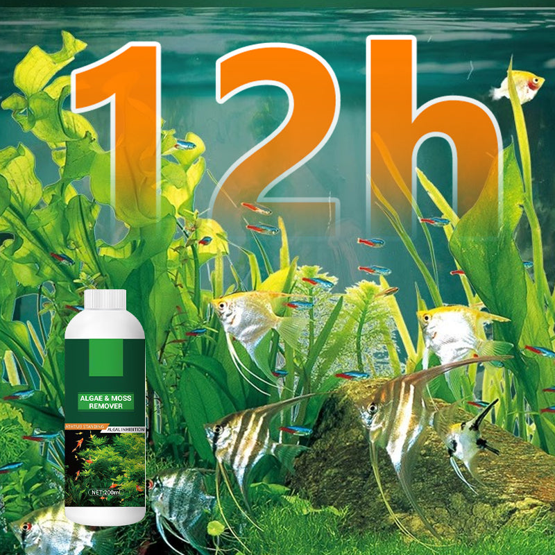 🎉 Algae & Moss Remover for Fish Tank - Safe Water Purification