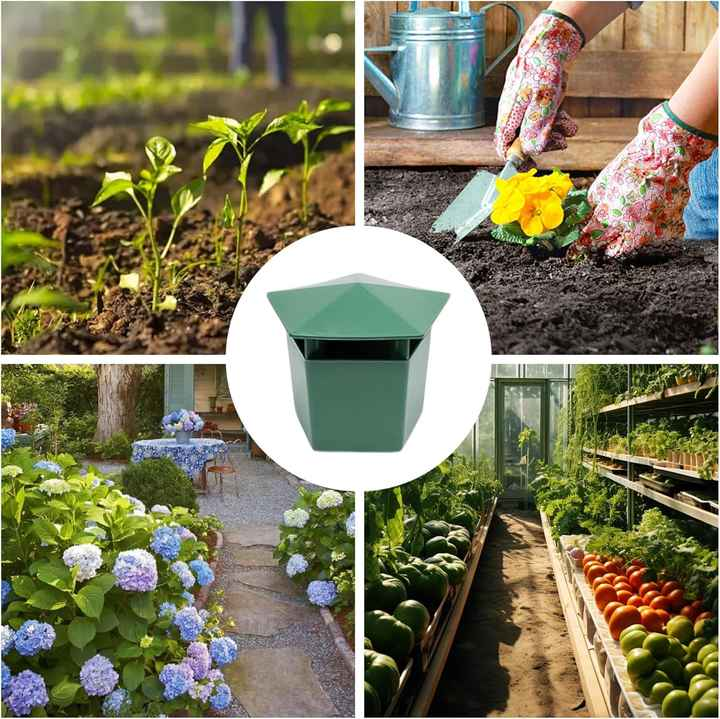 The Snail Trap - Ready for a garden without killer slugs