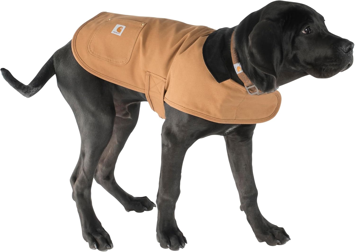 Dog Chore Jacket