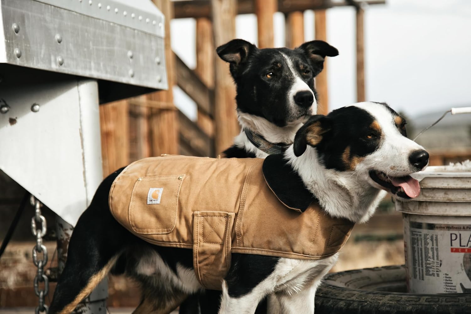 Dog Chore Jacket