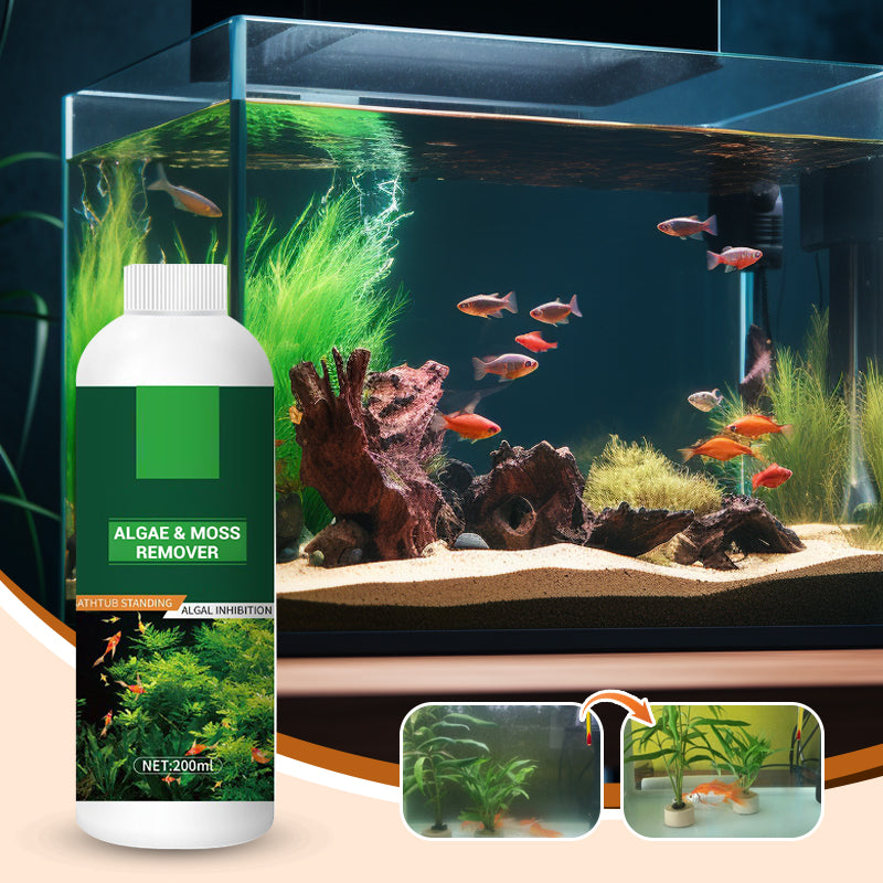 🎉 Algae & Moss Remover for Fish Tank - Safe Water Purification